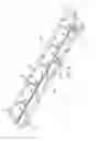 Fig. 09 - Small-animal mount assembly