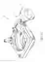 Fig. 28 - Small-animal mount assembly