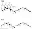 Fig. 04 - Method for endoluminal imaging with movement correction