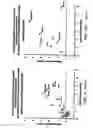 Fig. 24 - Detection, imaging and characterization of breast tumors