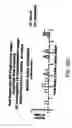 Fig. 26 - Detection, imaging and characterization of breast tumors