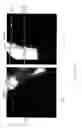 Fig. 12 - Determining a surface geometry of an object