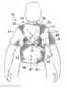Fig. 01 - Posture improvement device and method of use