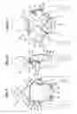 Fig. 05 - Posture improvement device and method of use
