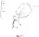 Fig. 07 - Tampon applicator having an expulsion force increaser