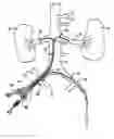Fig. 01 - Sheath for use in peripheral interventions