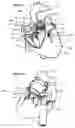 Fig. 13 - Systems for heart treatment