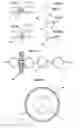 Fig. 19 - Systems for heart treatment