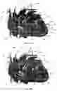 Fig. 52 - Systems for heart treatment