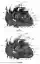Fig. 31 - Systems for heart treatment