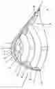 Fig. 01 - Breast prosthesis