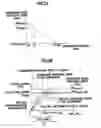 Fig. 05 - Control device and method for fuel cell powered vehicle