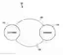 Fig. 01 - Method and apparatus for renting items
