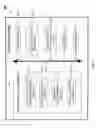 Fig. 07 - Display arrangement including face detection