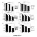 Fig. 34 - Intelligent robust control system for motorcycle using soft computing optimizer