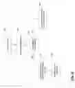 Fig. 10 - Structured indexes on results of function applications over data
