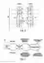 Fig. 05 - Compact object header