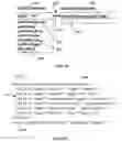 Fig. 09 - System and method for building component applications using metadata defined mapping between message and data domains
