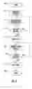 Fig. 04 - Communications system using hierarchical queue structure for email message delivery and related methods