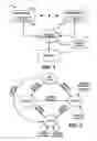 Fig. 02 - System and method for conflict responses in a cache coherency protocol