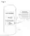Fig. 07 - Single point of entry for web applications