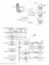 Fig. 02 - Method for multidimensional visual correlation of systems management data