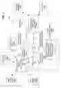 Fig. 02 - Data conversion from HTML to XML in a tree structure