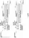 Fig. 03 - Synchronous network traffic processor