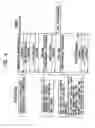 Fig. 06 - Controlled information processing apparatus