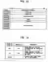 Fig. 10 - Controlled information processing apparatus