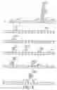 Fig. 02 - Production of recombinant polypeptides by bovine species and transgenic methods