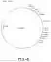 Fig. 15 - Production of recombinant polypeptides by bovine species and transgenic methods