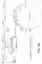 Fig. 17 - Production of recombinant polypeptides by bovine species and transgenic methods