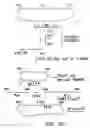 Fig. 32 - Production of recombinant polypeptides by bovine species and transgenic methods