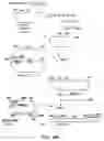 Fig. 40 - Production of recombinant polypeptides by bovine species and transgenic methods