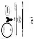 Fig. 02 - Genomic modification