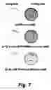 Fig. 08 - Genomic modification