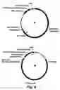 Fig. 09 - Genomic modification