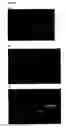 Fig. 06 - Method of generating new fluorescent fish by breeding transgenic fluorescent fish with fish with different phenotype and new fluorescent fish generated therefrom