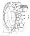 Fig. 07 - Spa insert with flat upper flange and integral spill way