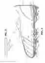 Fig. 04 - Athletic shoe frame