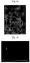 Fig. 06 - Polishing slurry, method of producing same, and method of polishing substrate