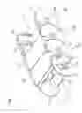 Fig. 02 - Low noise cable or the like protection and guide device