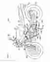 Fig. 03 - Hydrostatic continuously variable transmission