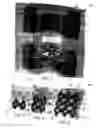 Fig. 02 - Lattice structure forming a surface of gemstones