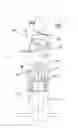 Fig. 01 - Adjustable steering column for a vehicle
