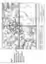 Fig. 06 - Macroporous, resorbable and injectible calcium phosphate-based cements (MCPC) for bone repair, augmentation, regeneration, and osteoporosis treatment
