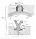 Fig. 13 - VAL rotary engine