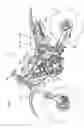 Fig. 02 - Lubrication system and method, and engine incorporating same