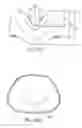 Fig. 34 - Ergonomic and adjustable respiratory mask assembly with headgear assembly